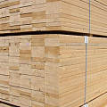 周评：44周（11月5日——11月11日）木材市场行情评析