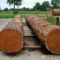 周评：45周（11月12日——11月18日）木材市场行情分析