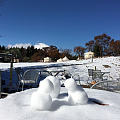 11月的雪⛄️ 日本富士山下