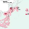 宝石红珊瑚最新分类，来自商家的多年经验总结