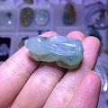 来秀秀小兔子
