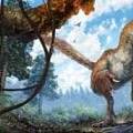 琥珀中首次發現保存完好的恐龍尾化石