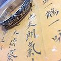 美人蕉到了