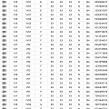 深圳爱迪尔珠宝GIA裸石现货一卡