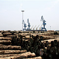 木材市场开始进入“休市”，催款成收尾工作
