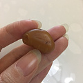 贴心小棉袄or小板栗