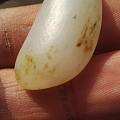 新疆和田玉籽料原石保真支持复检一级白黄褐皮白玉手链籽