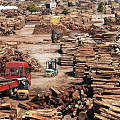 周评：第8周木材市场（2月18日—2月24日）价格行情分析