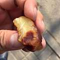 新手入新蜡 请大神给看一下