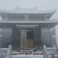 大十堰下雪了 3月桃花雪