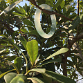 带烟雨拍的几张外景…