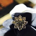 1.7克拉主钻，给大家分享下harry winston sunflower ...