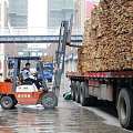 山东、江西引领原木大涨，木材行业新一轮暴涨势在必行！