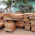 缅甸花梨木下滑2000元/吨，价格回落，商家囤货好时机，不容错过！