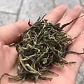 清明茶，手工茶，瑶山天然野生茶