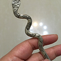 蛇形银簪