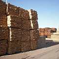 木材市场“妖风”四起，来看看各港口木材行情最新走势大盘点