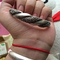 昨晚又受刺激了，开仓贱卖老世兴丽银坊