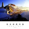 西藏鸡血藤镯免费结缘,免费结缘第二季！