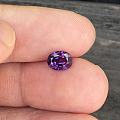 1.44ct 斯里兰卡 无烧 紫色 艳紫 椭圆 蓝宝石 戒指 镶嵌定制
