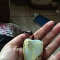 三年前给爸爸买的和田玉600块钱值吗