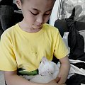 猫儿与少年