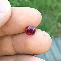 1.06ct 斯里兰卡 水红 椭圆 全净 石榴石 整颗68