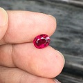 1.55ct 非洲 红色 妖艳 椭圆 Rubellite 红宝碧玺 卢比来