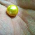 phil golden pearl or Tahiti black pearl