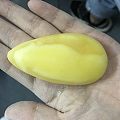 琥珀蜜蜡之旅