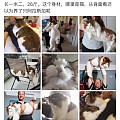 看了这个猫可以理解为什么杨贵妃艳名