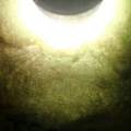 白皮木那全赌料，种好皮紧沙细，打灯透水头超长，石头品相非常完美，可赌手镯好几条