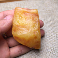 我设计的凤凰