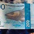 半夜不睡觉起来hi 最新咸鱼币 挪威新货币