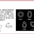 科普一下