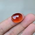 大颗粒蛋面橙色石榴石裸石戒面31.78克拉 15.6*19.8毫米 晶莹剔透