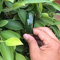 这样比较明显