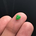 黄杨绿