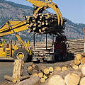预计2017年新西兰木材出口增长6.4%