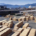 中国林业300亿打造木材贸易港