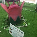 临海银泰昆虫展