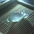 海洋