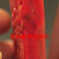 保山南红玛瑙 满色满肉柿子红龙牌 (老坑) 方牌极为少见