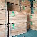 近期港口木材市场行情走势分析