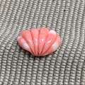 海洋里最美的产物 莫莫雕刻件贝壳