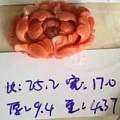 特价珊瑚戒面