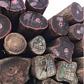 非洲国家锯木厂面临木材短缺困境