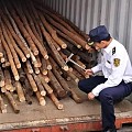 ​警示！近期港口事端频发 木材商要注意防范和维权！