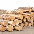 注意，木材经销商请保持冷静！辐射松的国外供应商将下调价格至880以下
