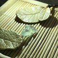 小青蛙